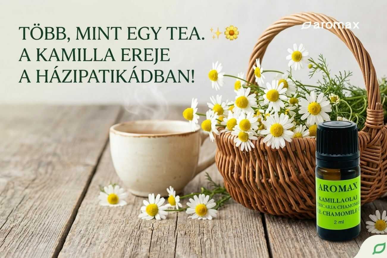 A Kamillaolaj Titkai: 9 ok, amiért minden nőnek ott a helye a házipatikájában