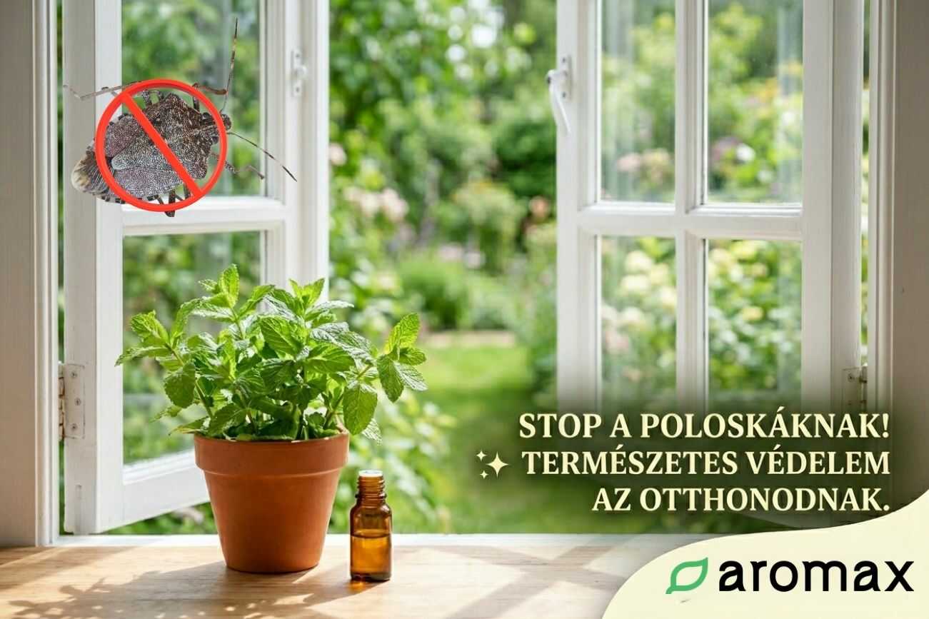 Bosszantó poloskák a lakásban? Így űzd el őket természetesen, illóolajokkal!